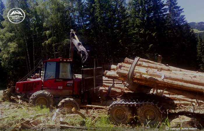 porteur forestier pente