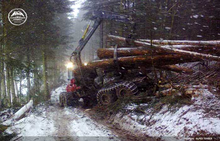 porteur forestier en terrain difficile