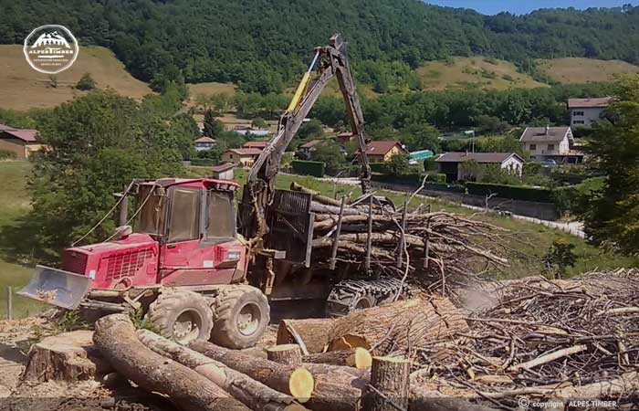 debardage porteur forestier